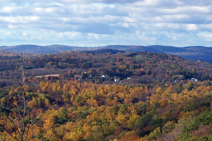 landscape of trees and hills